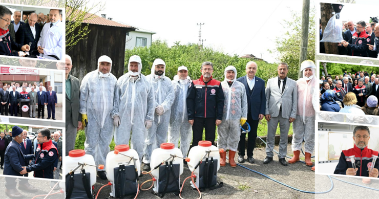 Kahverengi Kokarcaya Karşı 1 Milyon Samuray Arısı!