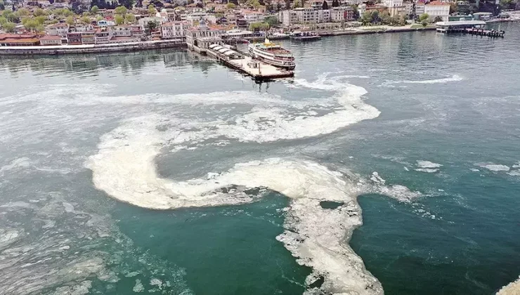 Müsilaj Balıkçılık Sezonunu Vurdu: Balıkçılar Zor durumda!
