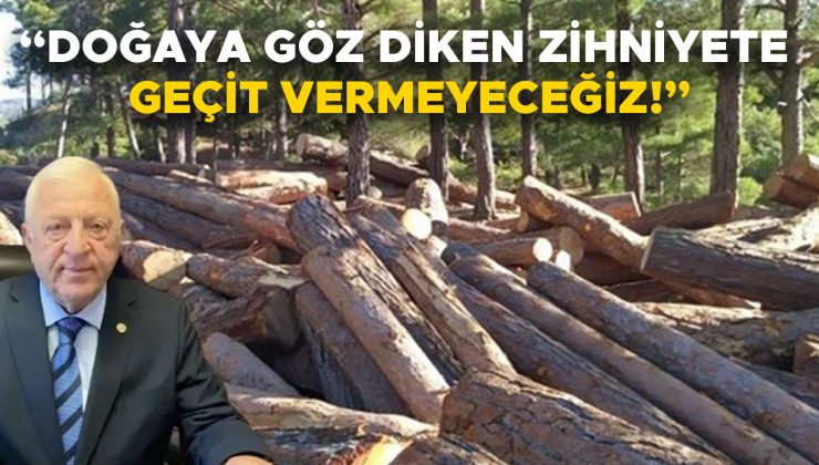 Akçakoca’daki Ağaç Katliamına CHP’den Sert Tepki!
