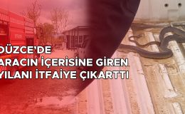 Pikapta Sıkışan Yılan İçin İtfaiye Seferberliği!