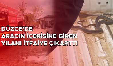 Pikapta Sıkışan Yılan İçin İtfaiye Seferberliği!