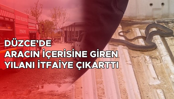 Pikapta Sıkışan Yılan İçin İtfaiye Seferberliği!