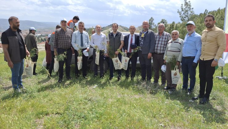 Ormanda Çöp Toplama Etkinliği: Fidan Dağıtıldı