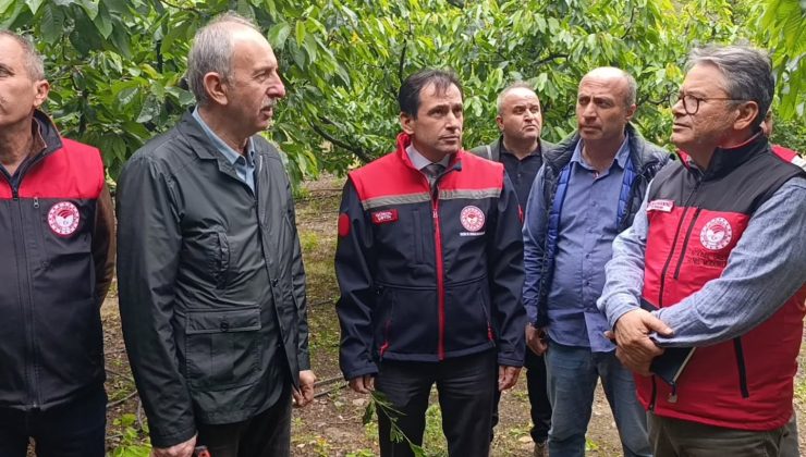 Zirai Don Hasarına Karşı Üreticilere Bilgilendirme Toplantısı