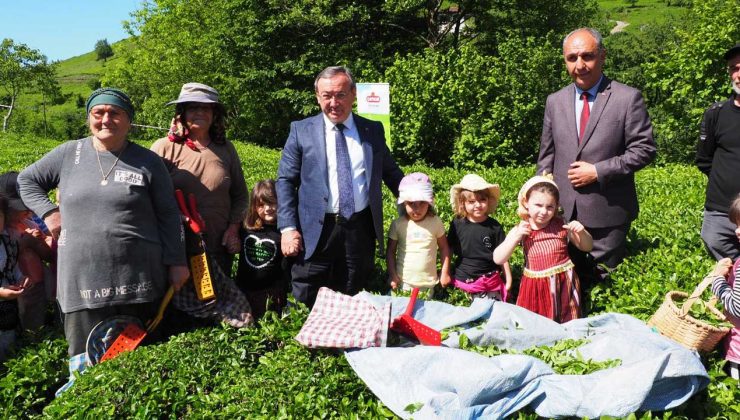 Çocuklar Çay Hasadı Şenliği’nde Geleceği Şekillendirdi