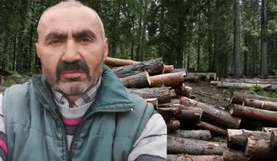 Ağaç kesimi kazası: Bir kişi hayatını kaybetti