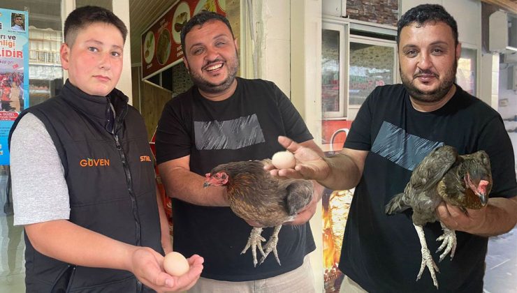 Serik’te Tavuk Dönerciye Girdi, Yumurtladı!