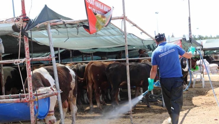 Kurban Bayramı Öncesi Haşere Mücadelesi Devam Ediyor!