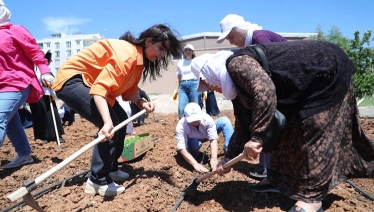 Kadınlar İçin Gelecek Umudu: Fide Dikimi Etkinliği