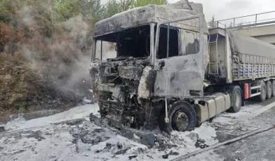 Tır yangını: Patlayan lastik büyük hasara yol açtı!