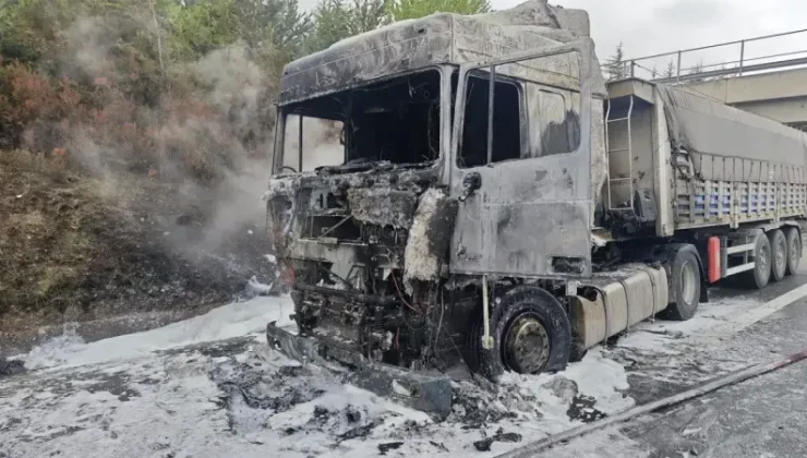Tır yangını: Patlayan lastik büyük hasara yol açtı!