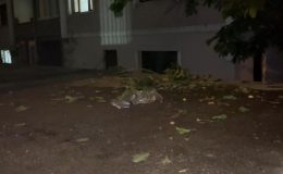 Bolu’da Genç Hayatına Son Verdi, Şok Üzerine Şok