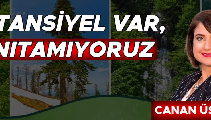 Düzce, Turizmde Bolu’yu Sollamak İçin Çabalıyor!