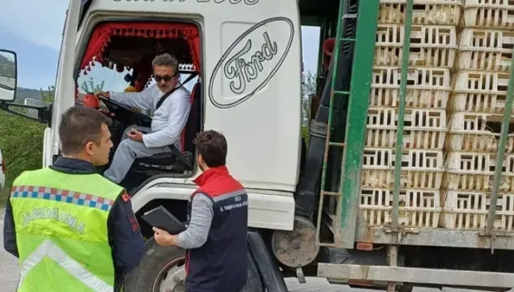 Göynük’te Gıda ve Hayvan Taşımacılığına Denetim!
