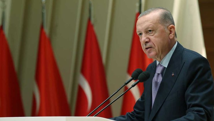 Erdoğan: Terörsüz Türkiye İçin Kararlı Adımlar Atıyoruz