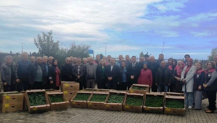 Çiftçilere Fidan Dağıtımıyla Dünya Çiftçiler Günü Coşkusu!