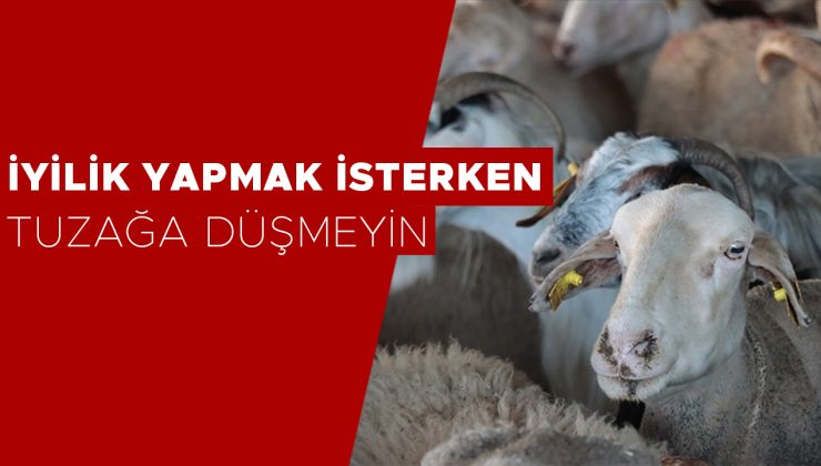 Sahte Bağış Sitelerine Dikkat! Dolandırıcılara Karşı Uyarı