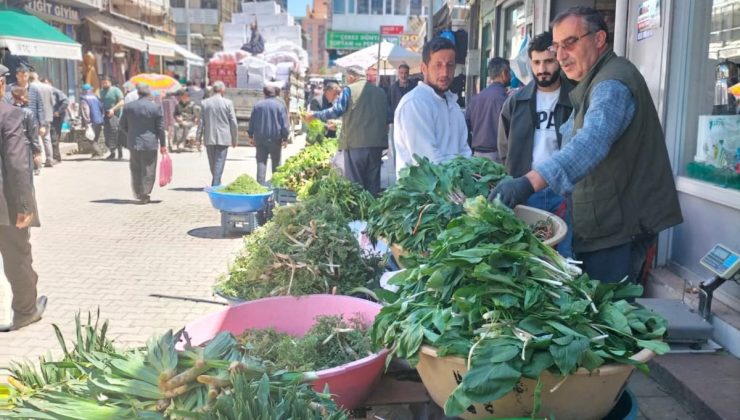 Doğal Bitkiler Tehdit Altında, Koruma Çağrısı!