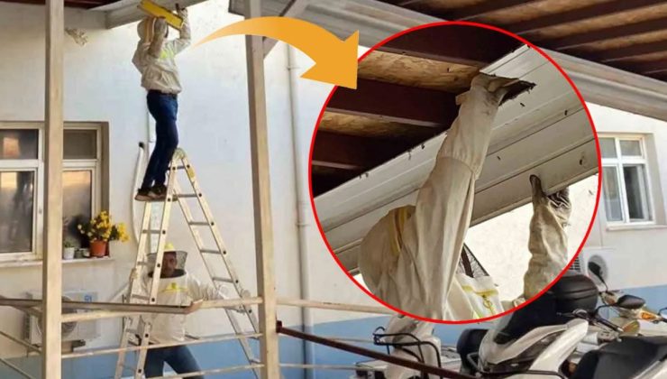 Hastanede Arı Kolonisi Kurtarıldı, Doğa Dostu Müdahale!