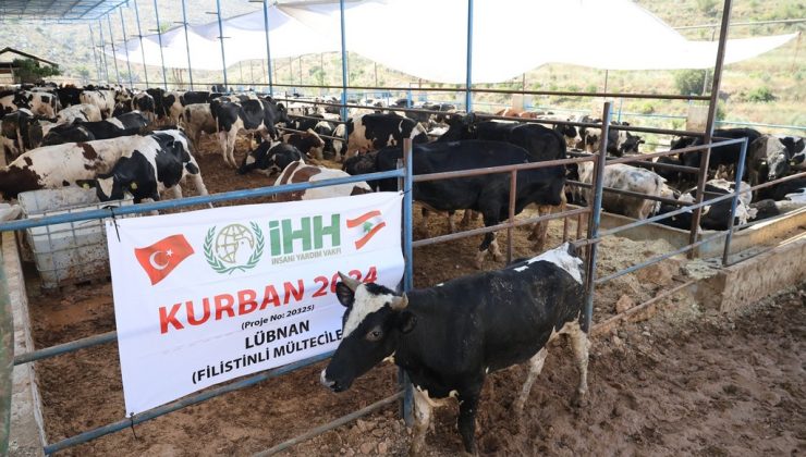 İHH Kurban Bayramı hazırlıklarını sürdürüyor!