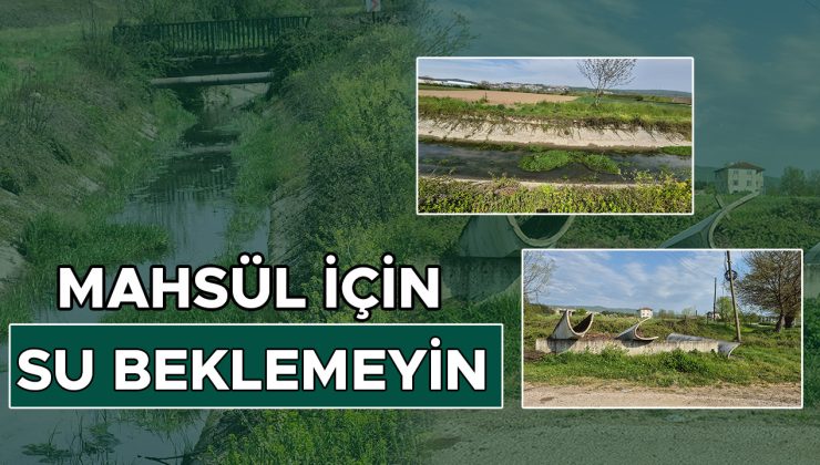 Düzce Tarımda İvme Kazanıyor, Sulama Sorunları Sürüyor!