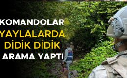 Düzce’de Jandarma Yaylalarda Denetime Başladı!