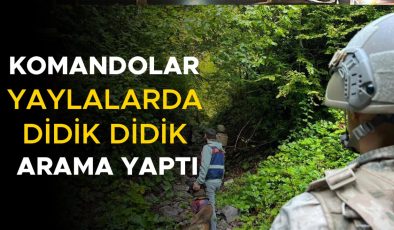 Düzce’de Jandarma Yaylalarda Denetime Başladı!