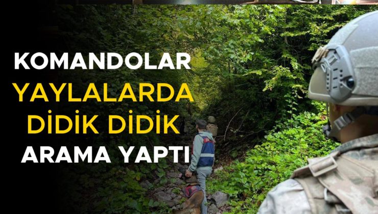 Düzce’de Jandarma Yaylalarda Denetime Başladı!