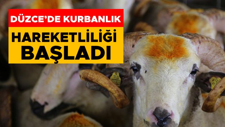 Kurban Bayramı Öncesi Hastalık Tedbirleri Alındı!