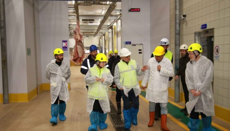 Kocaeli Mezbahası, Hijyenik Kesimle Güvenliği Sağlıyor
