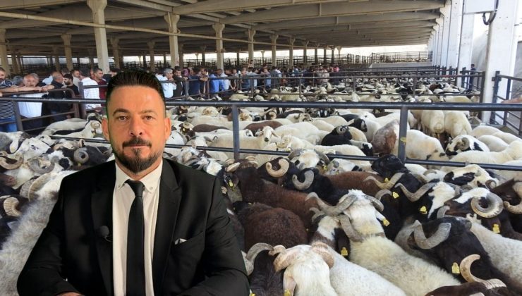 Kurban Bayramı’nda Sağlıklı Hayvan Seçimi Önerileri