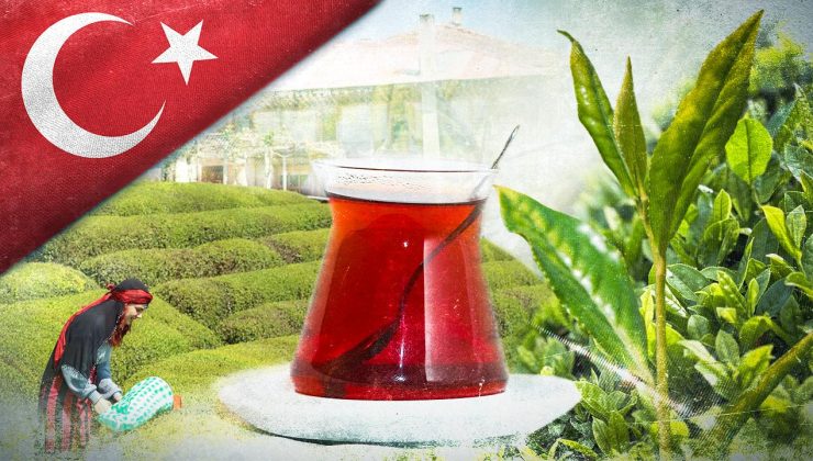 2025’te Çay Alım Fiyatı: 25,44 TL Oldu!