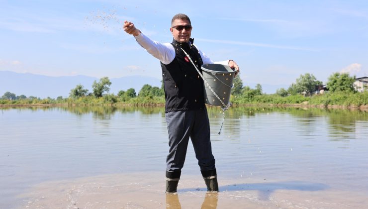 Düzce’de Çeltik Ekimi Etkinliği ve Destek Müjdesi