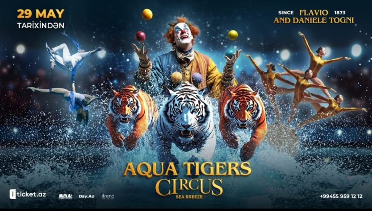 Aqua Tigers: Sıradışı Sirk Gösterisi Başlıyor!