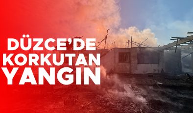 Kızılcık Köyü’nde Yangın: Ev ve Ahır Yandı