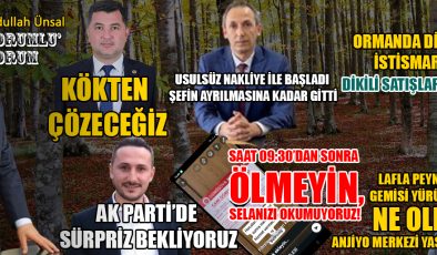Düzce’de Siyasi Sürpriz ve Orman İstismarı Tartışmaları