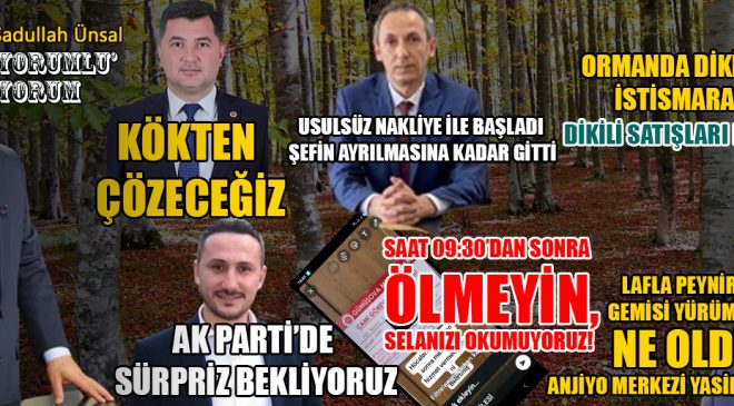 Düzce’de Siyasi Sürpriz ve Orman İstismarı Tartışmaları