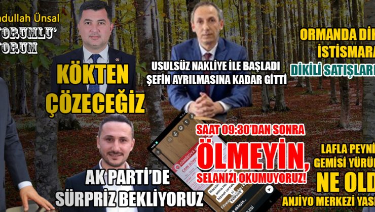 Düzce’de Siyasi Sürpriz ve Orman İstismarı Tartışmaları