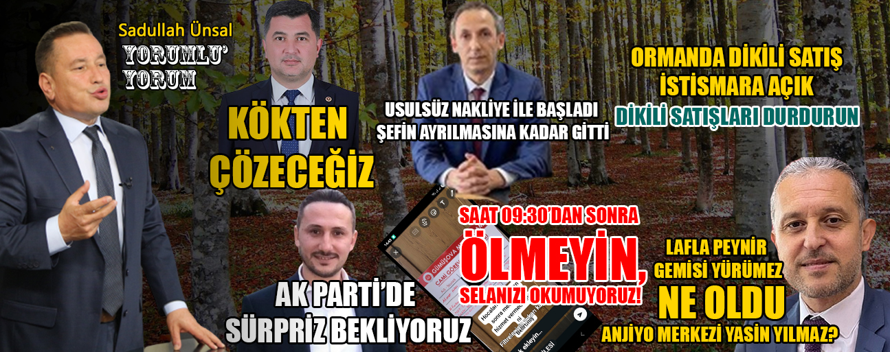 Düzce’de Siyasi Sürpriz ve Orman İstismarı Tartışmaları