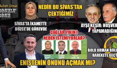 Ormanlar İçin Sıkı Takip: Tahkikat Başladı!