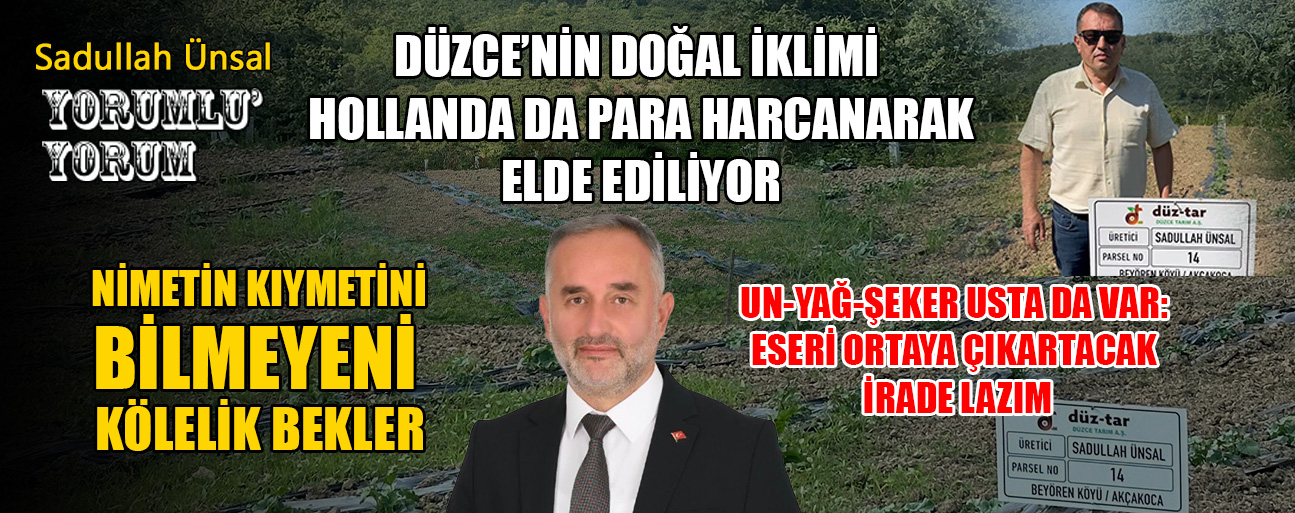 Düzce’nin Tarım Potansiyeli: Nimet Kıymetini Bilin!