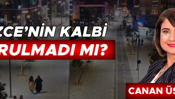 Düzce’de şehirleşme sorunu: Geçmişten günümüze kayıplar!