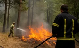 Bolu’da Korkutan Yangın, Ekipler Hızla Müdahale Etti