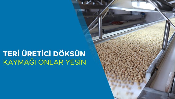 Fındık Üreticileri Umutla Yeni Sezona Hazırlanıyor
