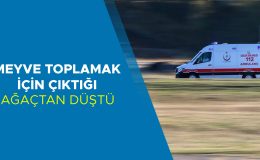 Ağaçtan Düşen Çiftçi Hastaneye Kaldırıldı