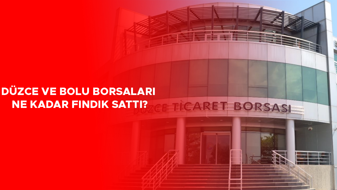 Fındık Satışları 9 Ayda 576 Bin Tonu Geçti!
