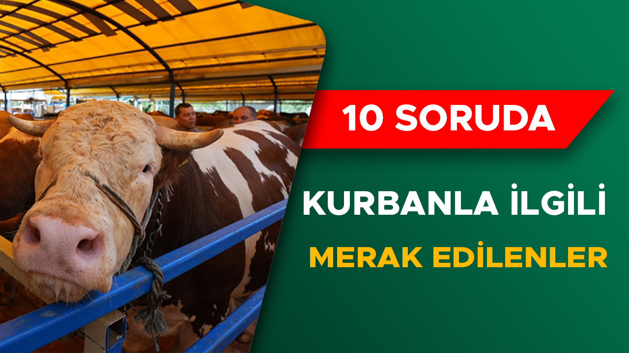 Kurban Bayramı’nda Dikkat Edilmesi Gerekenler!