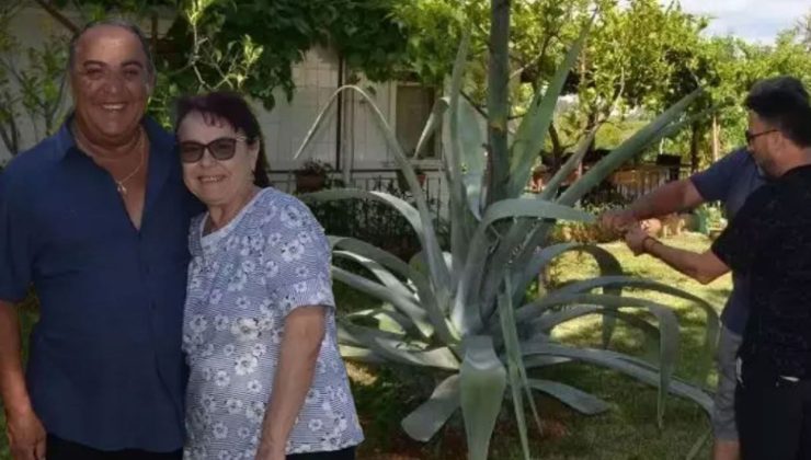 Nadir Agave Ağacı, Antalya’da Göz Dolduruyor!