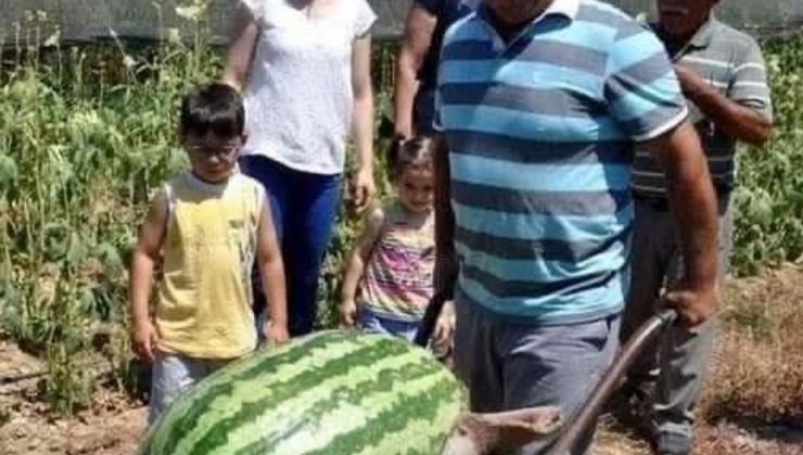 Rekor Karpuzla Çiftçinin Şaşırtan Başarısı!