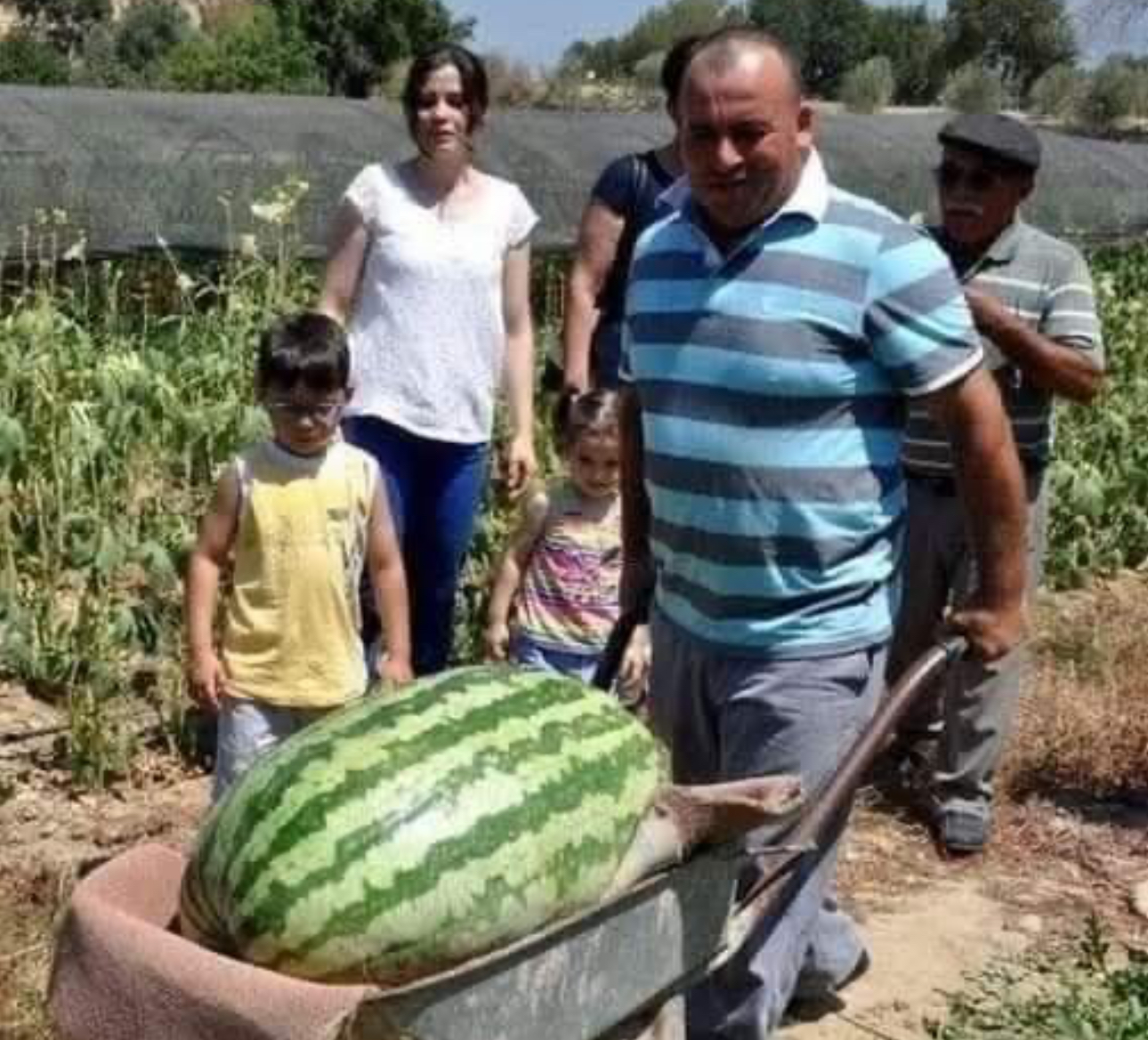 Rekor Karpuzla Çiftçinin Şaşırtan Başarısı!